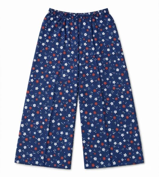 Flower dot design plazzo